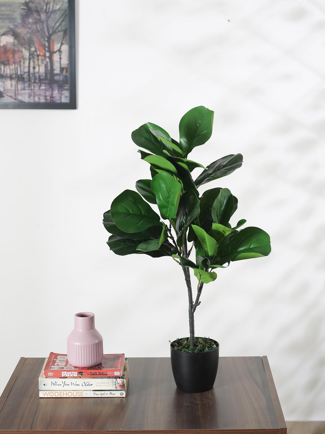 Home Bloom Artificial Fiddle-Leaf Fig Plant | Ornamental Plant for Interior Decor/Home Decor/Office Decor | with Basic Black Pot | 75 cm Short Indoor Tropical Plant | Durable