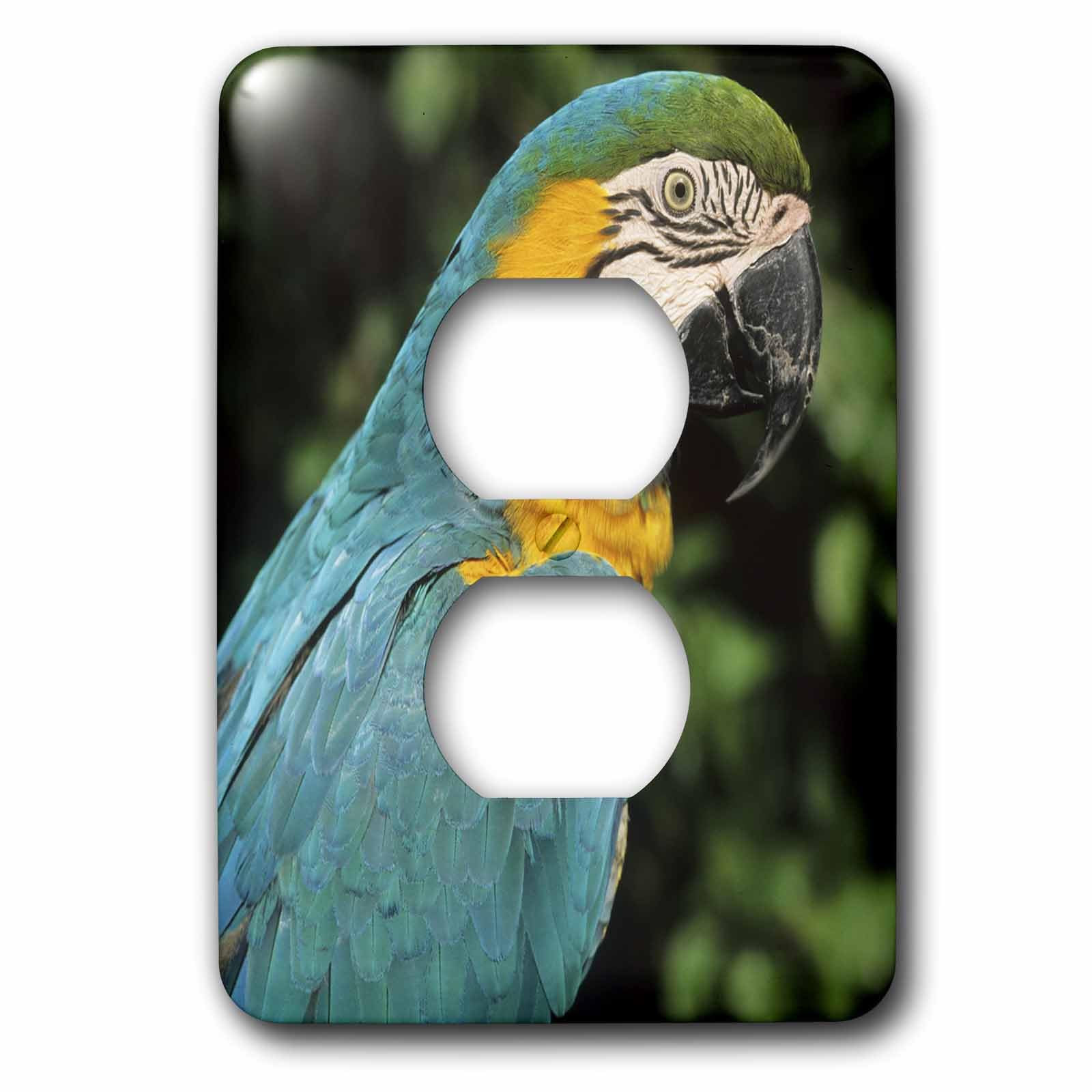 Ara bleu et jaune oiseau tropical Brésil plaque décorative 2 prises