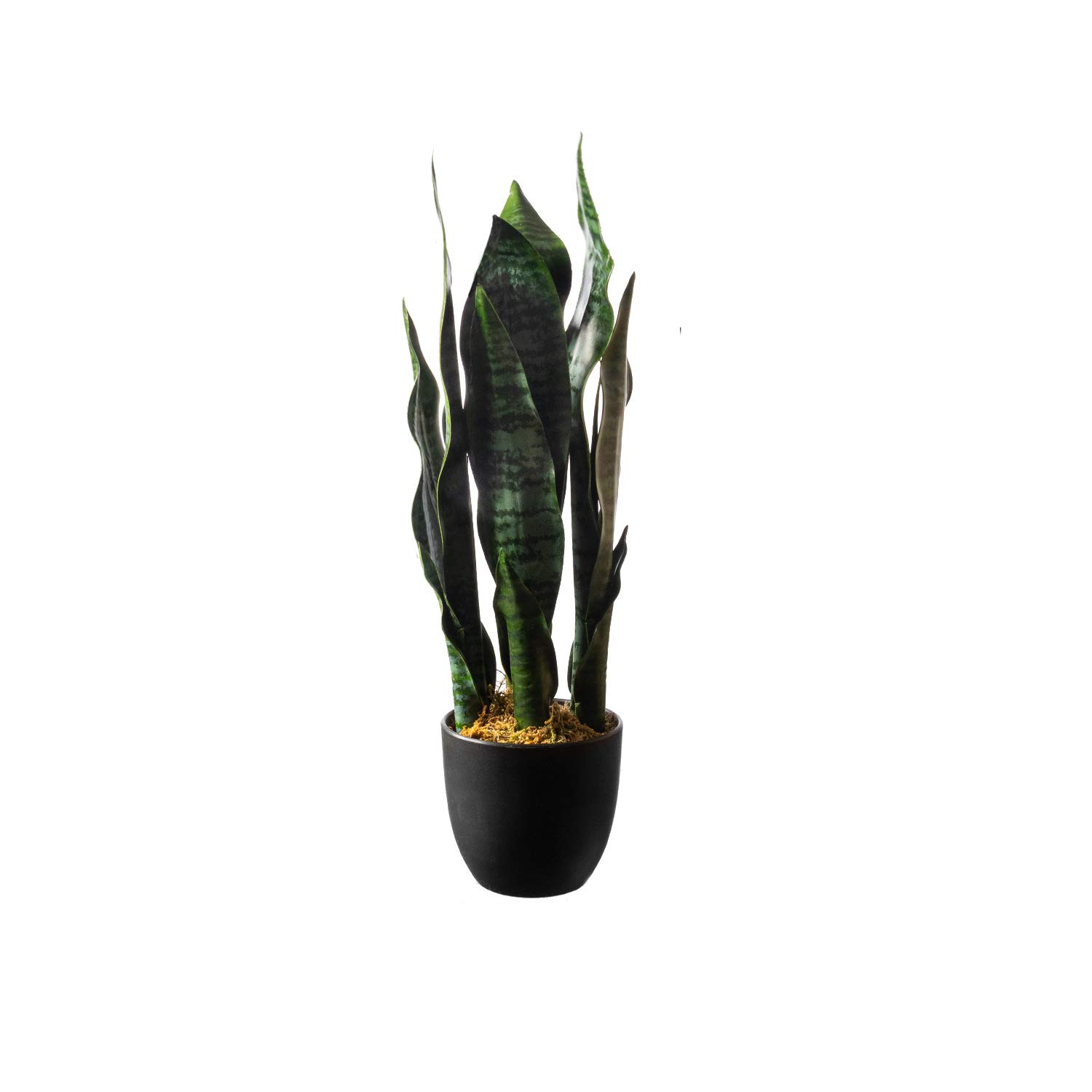 Royal Imports Artificial Sansevieria Leaf Plant, Life-Like Snake Plant Faux Mother-in-Law Tongue Tree, Dark Green in Decorative Planter - 19" Tall