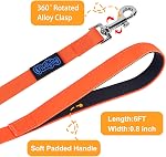 Vivifying Une laisse pour chien imperméable, 6FT Durable PVC Lead d'entraînement avec poignée rembourrée Great pour les petits chiens de taille moyenne Entraînement, marche, plage et lac (Orange)
