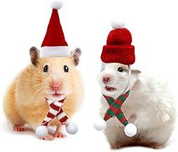 guinea pig outfits amazon