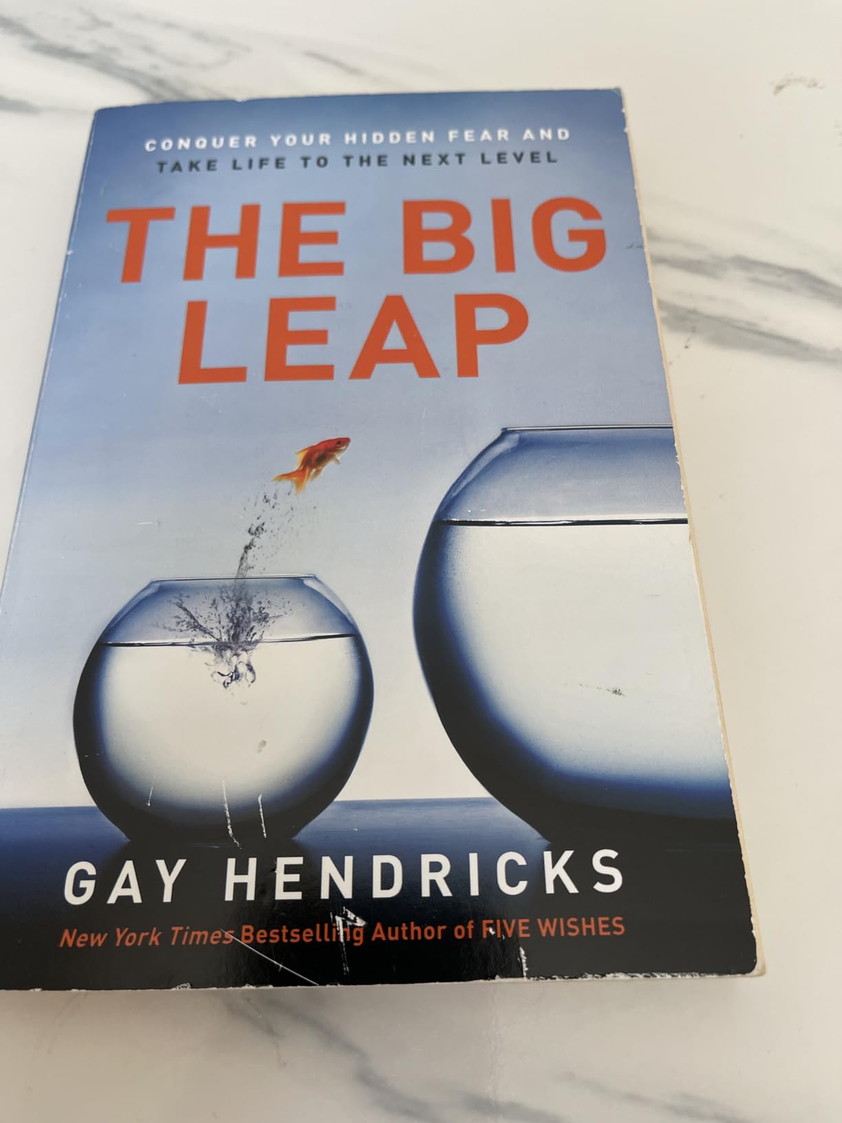 The Big Leap: Conquer Your Hidden Fear and Take Life to the Next Level ...