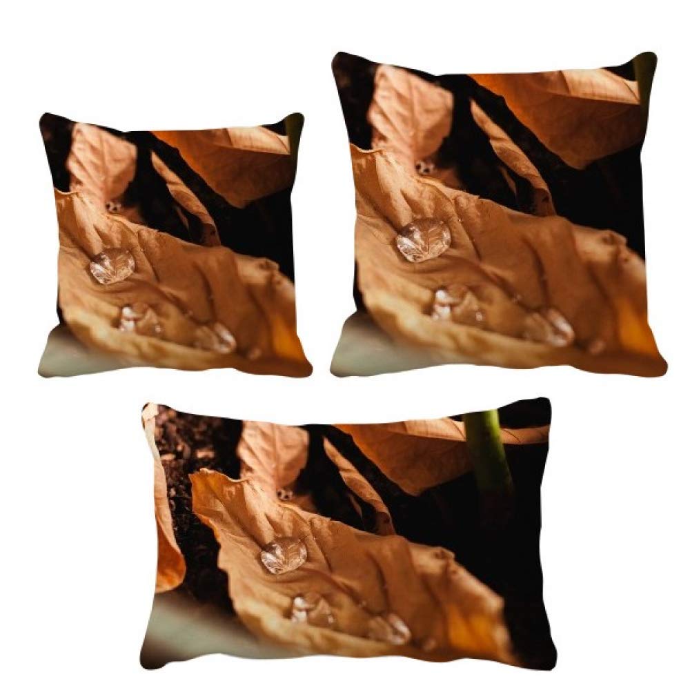 Parure de coussin feuilles tombées pour rénover facilement votre canapé