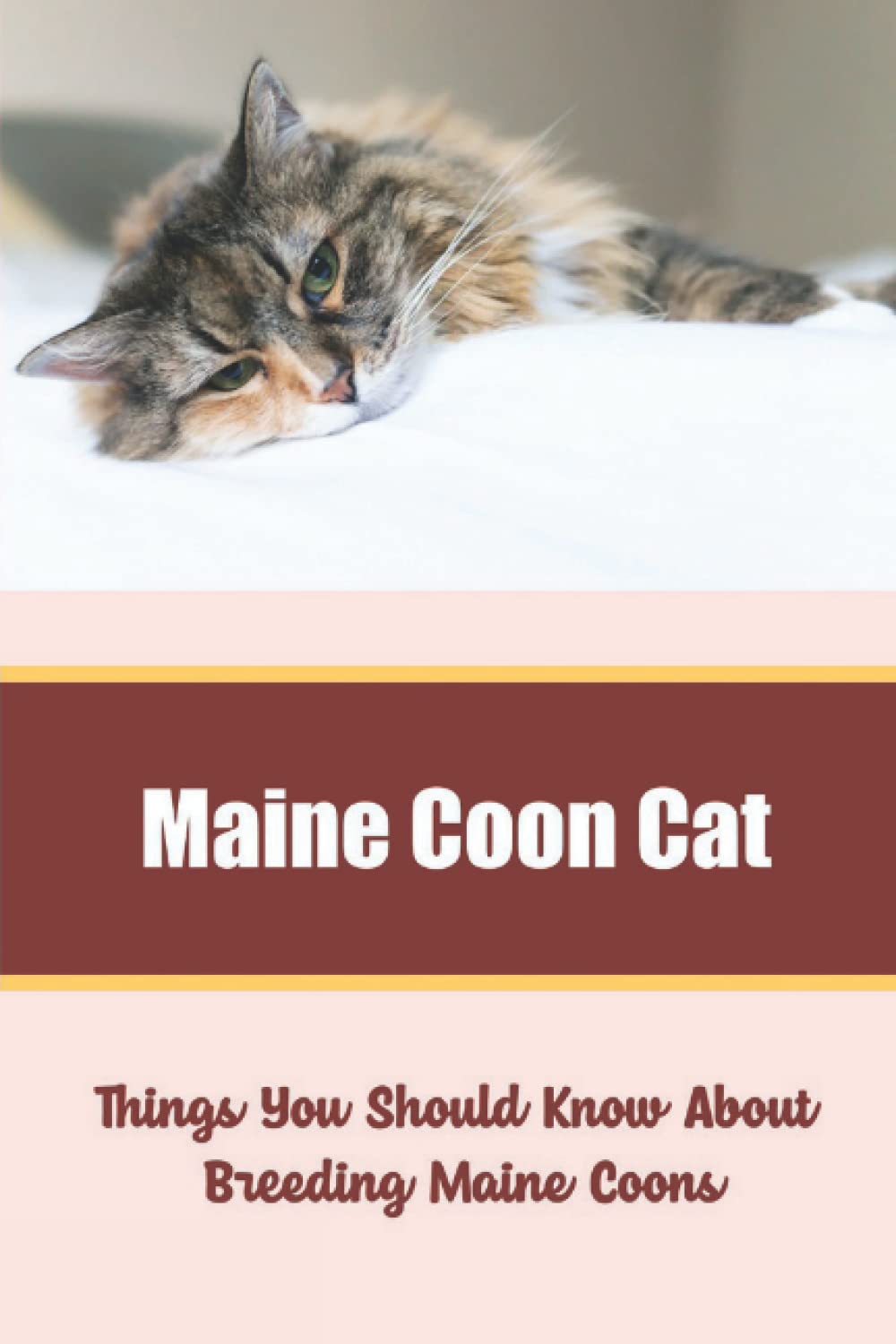 Maine Coon Cat: Things You Should Know About Breeding Maine Coons