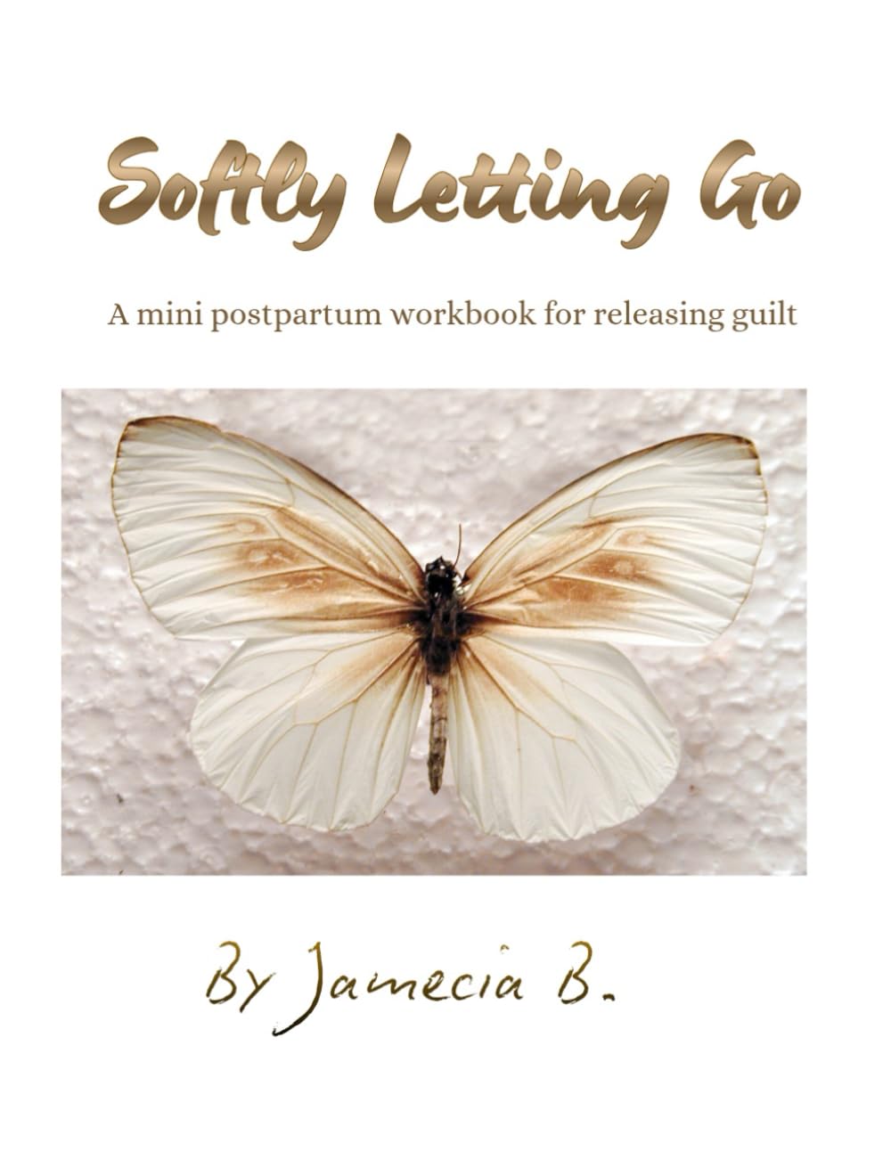 Softly Letting Go: A mini workbook for releasing guilt