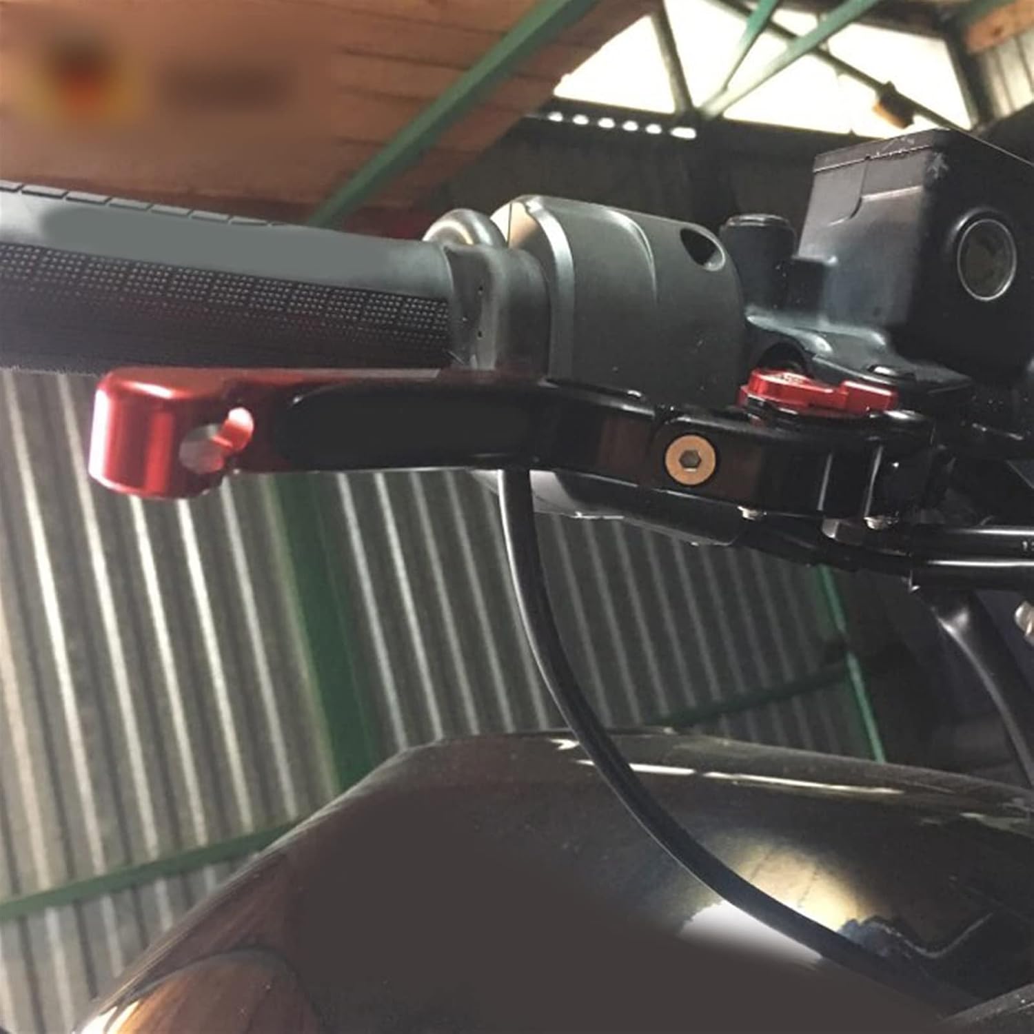 巨大黄色品種4種セット 1m苗 jin ao fen GRS cda イチジク Deanna