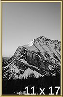 Vista 256 de Frame It Easy Marco de metal rojo de 24 x 36 pulgadas (Hanover)