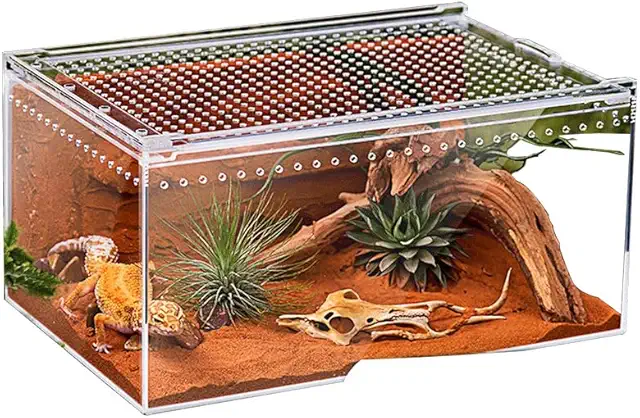 Terrarium pour lézard en acrylique transparent 40x25x20 cm, anti-fuite et portable