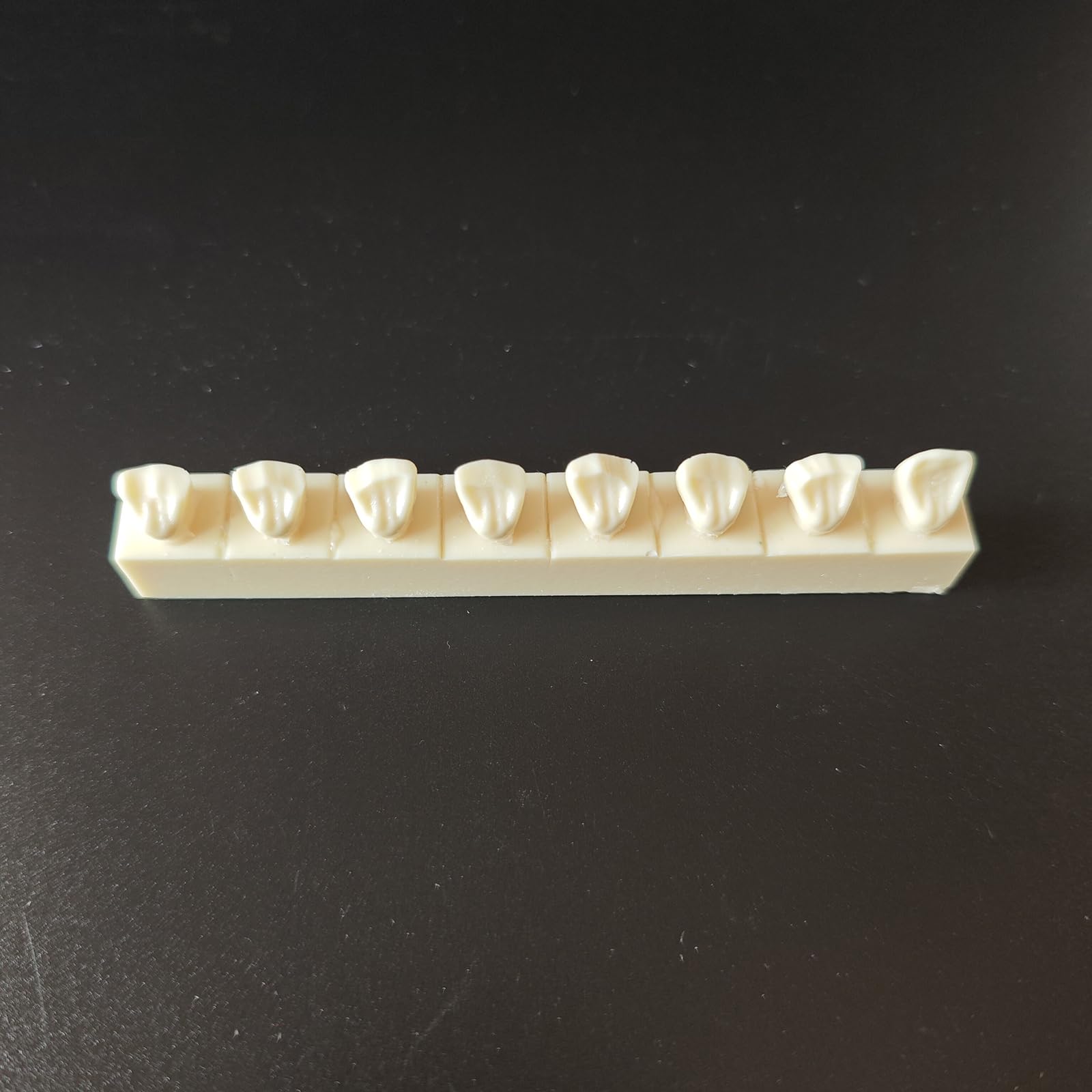 Modello di Pratica per otturazioni dentali in Resina 4 Pezzi Modello di cavità di Classe II Typodont per Studio e insegnamento