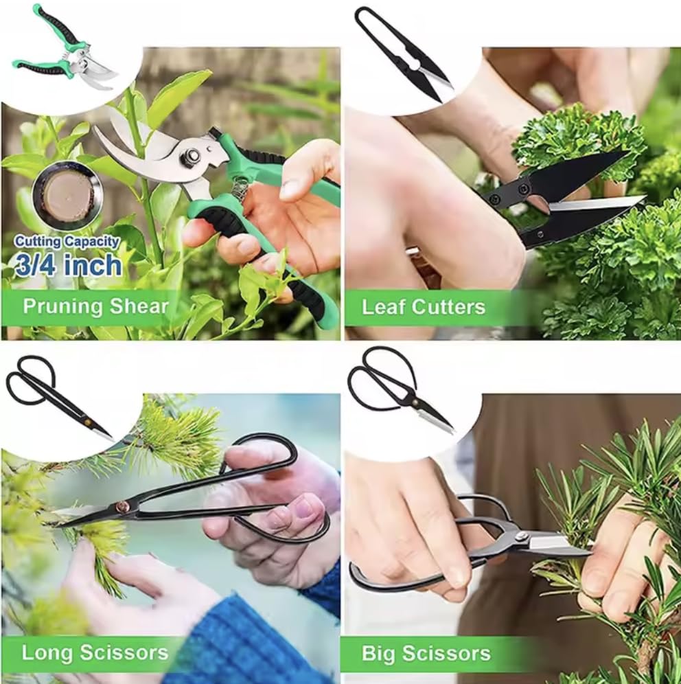 SeedsAlp Ensemble d'outils pour bonsaï, 24 pièces, kit de transplantation de plantes avec sac de rangement pour jardin robuste