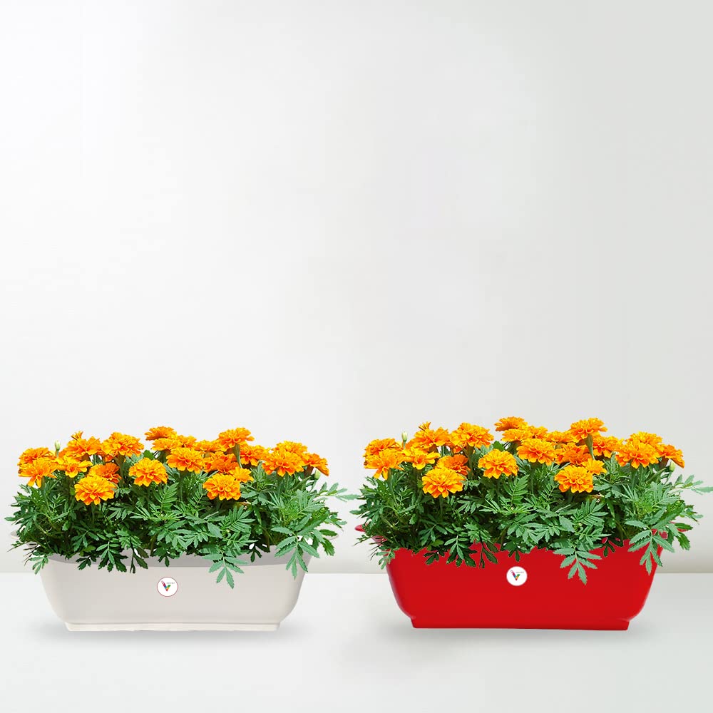 See full amazon price history chart for VINSHRA Unbreakable Rectangular Shape Two White and Two Terracotta, 20 inch, 4 Pieces/Suitable for Home Garden Seedling Indoor and Outdoor Window Display Lightweight, UV Resistant VINSHRA Unbreakable Rectangular Shape Two White and Two Terracotta, 20 inch, 4 Pieces/Suitable for Home Garden Seedling Indoor and Outdoor Window Display Lightweight, UV Resistant (B08DMQG7YT) Amazon Price History, Amazon Price Tracker