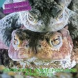 germany tube map  Blown out Again