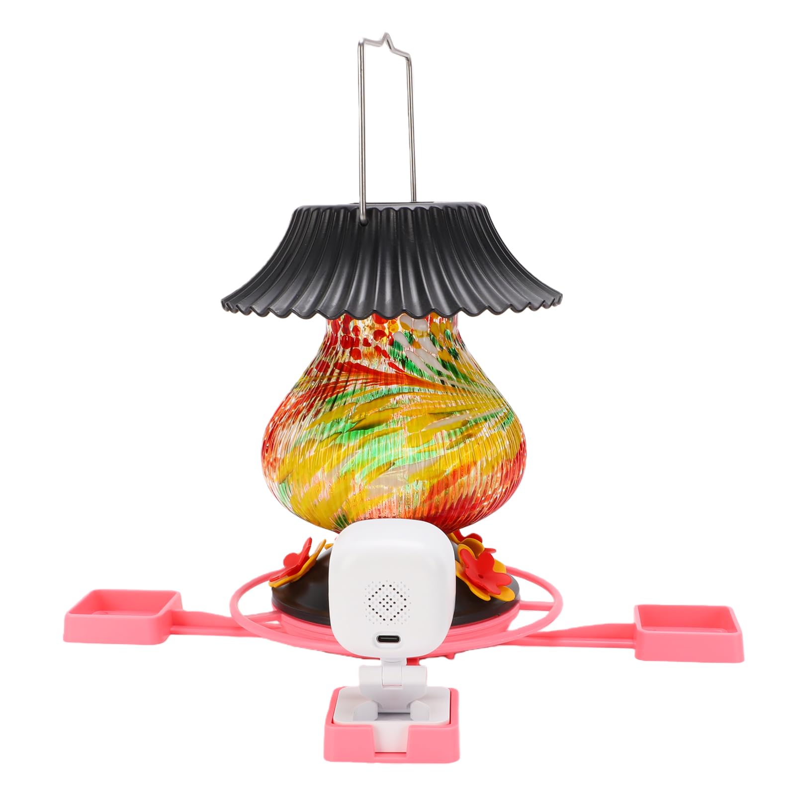 Sxhlseller Mangiatoia per colibrì in Vetro con Telecamera WiFi 1080P, Osservatore di Uccelli con Rilevamento del Movimento Ad Energia Solare con Visione Notturna e Registrazione a Infrarossi per Uso