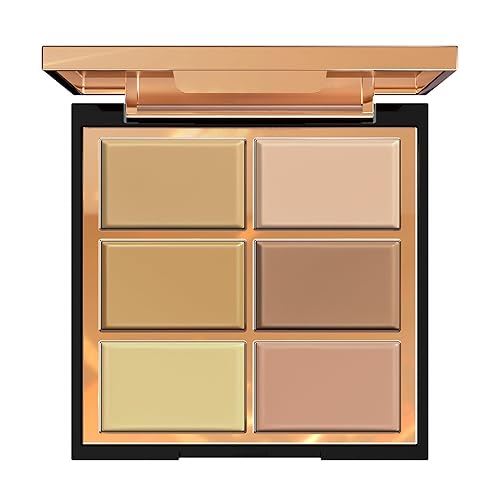 FV Paleta corrector de 6 colores en crema, cobertura completa y larga duración para ojeras, enrojecimiento, acné con acabado natural, paleta de base