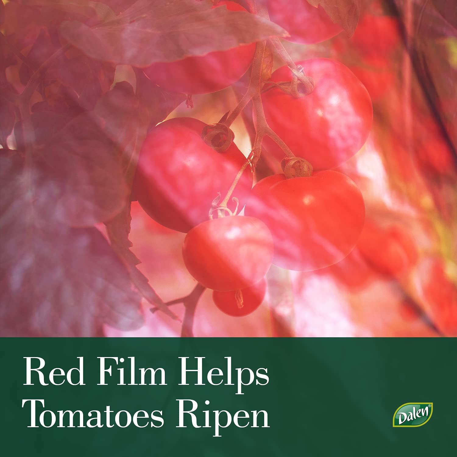 Dalen Better Reds Tomato Cover – Breathable Plant Protector, 28in X 2ft Roll, DIY Installation