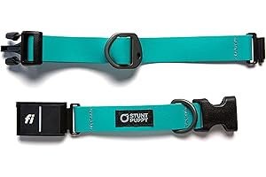 Fi Compatible GPS Dog Collar: Keep Your Best Friend Connected