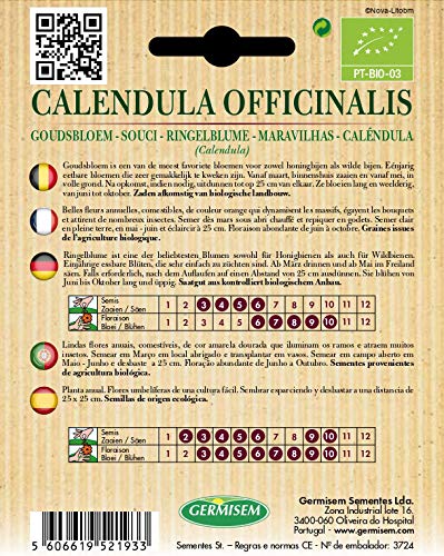 Germisem ECBIO1193 Organisch Calendula Officinalis Goudsbloem Zaden 2 g - Afbeelding 3