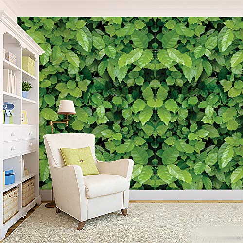 Image of Fabulous Wallpaper for Home Decor, Living Room, Bed Room, Kids Room (Waterproof) 200 (16 X 128 INCH)