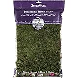 SuperMoss (21512) Preserved Sheet Moss, Fresh Green, 8oz (200 cubic inch)