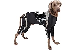 Dog Skeleton Costume: A Spooktacular Outfit for Your Canine Companion