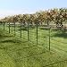 Amagabeli 1M X 25M Malla de Alambre Cuadrada Verde – RAL6005 Malla...