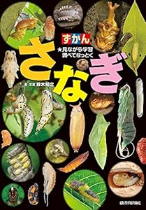 本のさなぎ (ずかん)の表紙