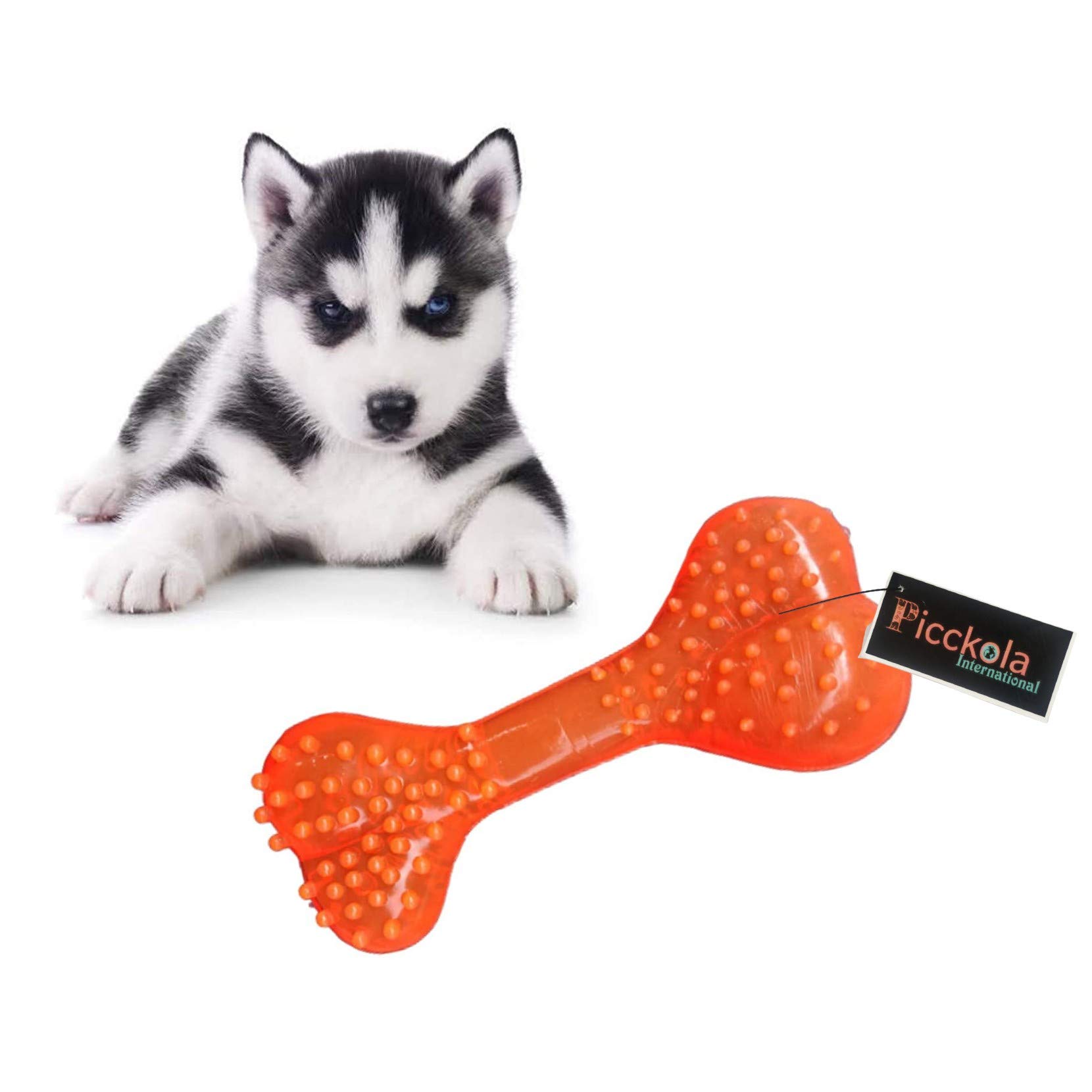 Picckola International 100% Non Toxic Rubber Flavoured Puppy Bone Toy Soft Spike Bone Chew Toy Teething Toy (Soft Spike Bone, Color May Vary) (B08L997RZS) Amazon Price History, Amazon Price Tracker