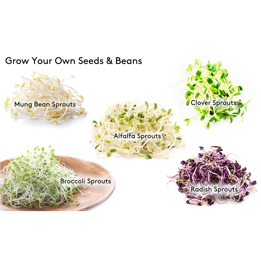 Wuden 1 Set Stainless Steel Sprout Lids Sprouting Lids with Screen for Wide Mouth Jars