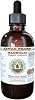 Magnolia Alcohol-Free Liquid Extract, Magnolia (Magnolia Virginiana) Dried Bark Glycerite Natural Herbal Supplement, Hawaii Pharm, USA 15x4 oz