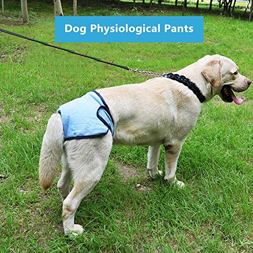 Dog Underwear Reusable Cotton Female Pet Sanitary Pants Puppy Physiological Pants Pet Sanitary Diaper Breathable Pet Sanitary Underwear Briefs (Xl Blue) #TOP3