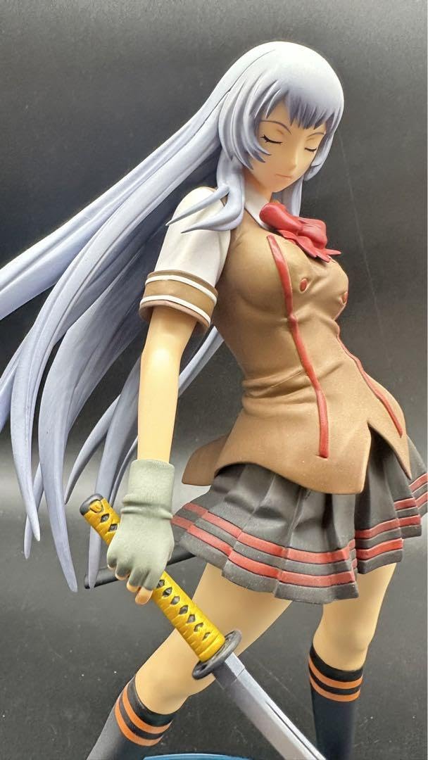 Amazon.co.jp: アルター 一騎当千 Dragon Destiny 趙雲 子龍 : ホビー