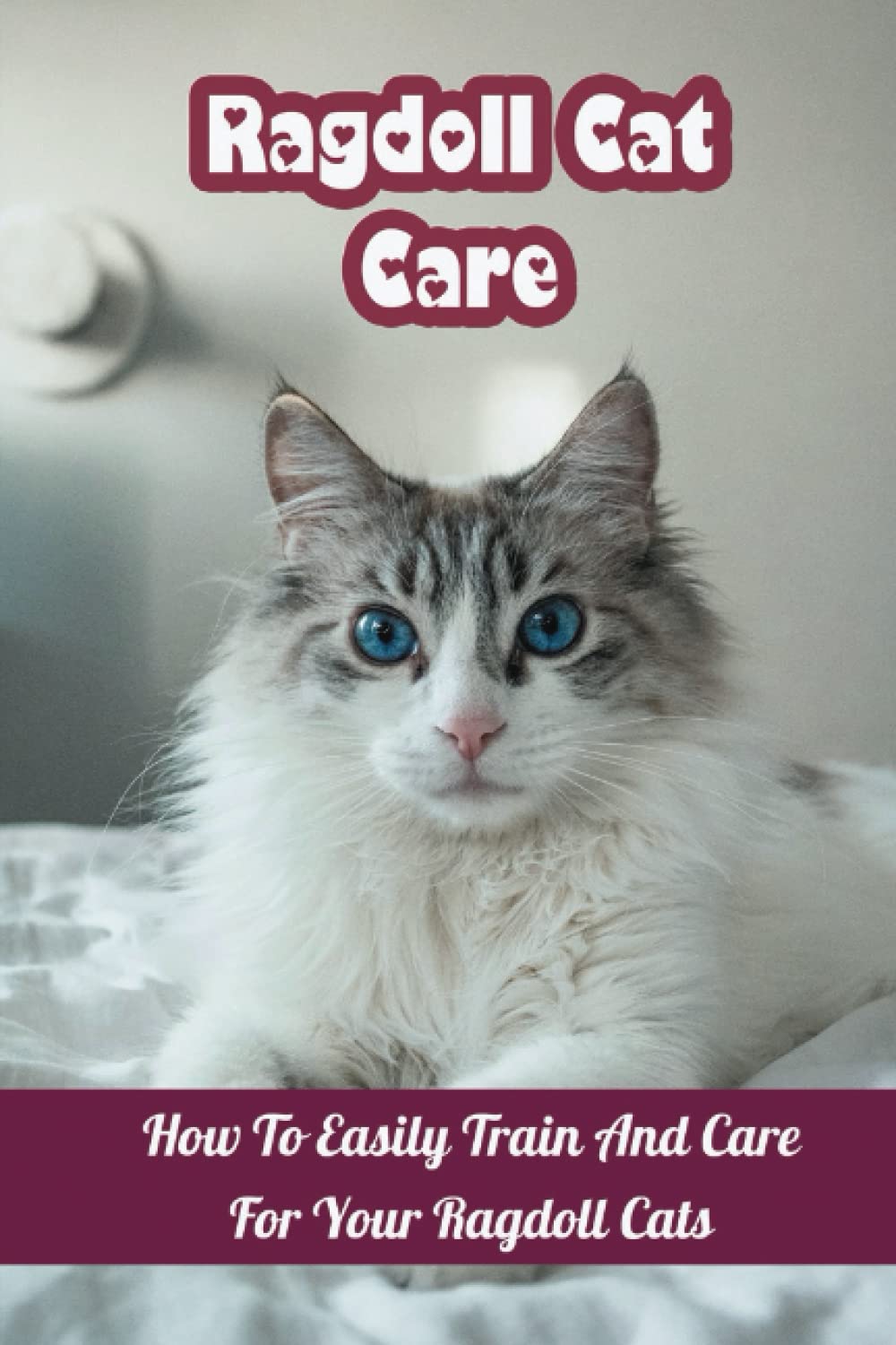 Buy Ragdoll Cat Care How To Easily Train And Care For Your Ragdoll