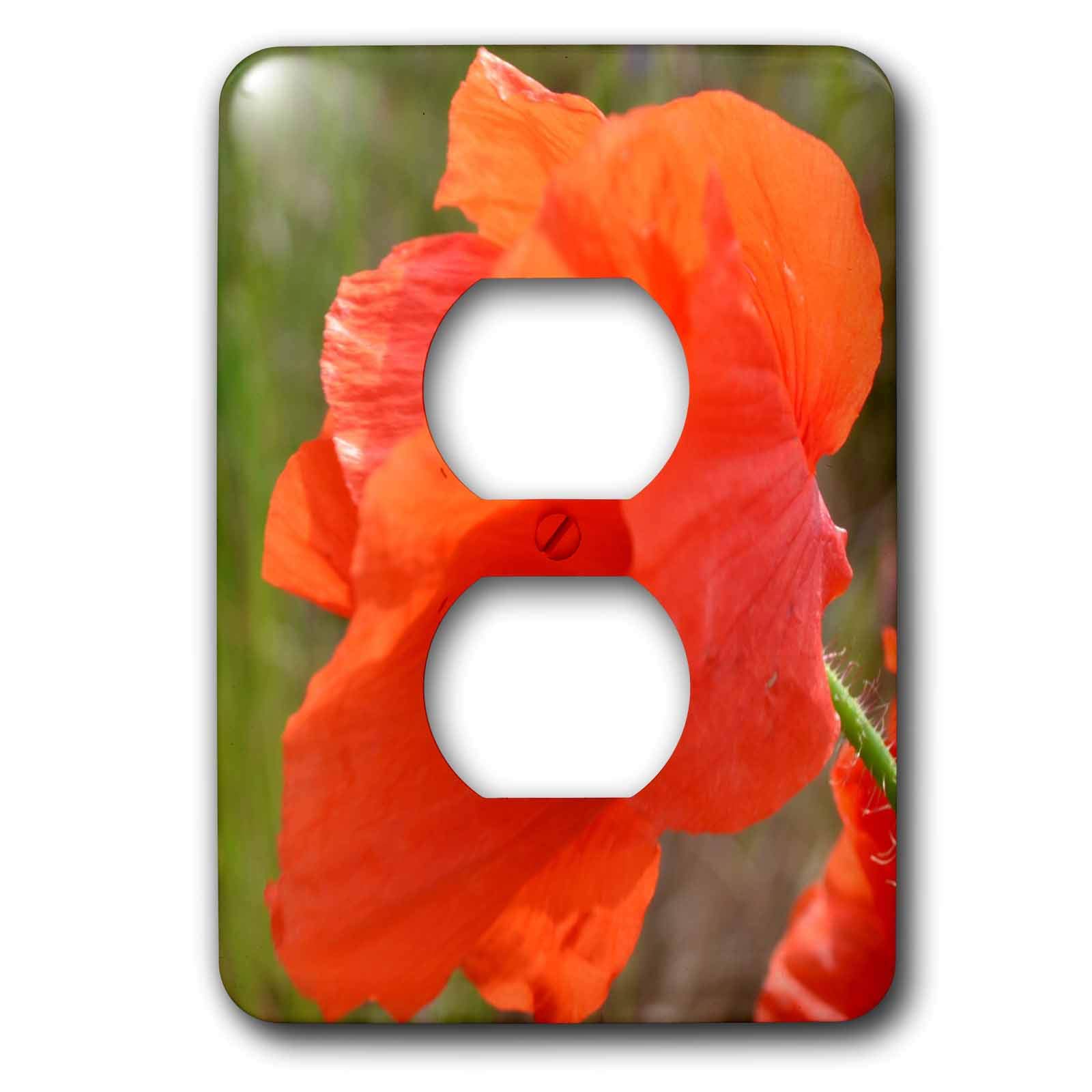 Coquelicot Expression 2 prises lsp_24860_6, finition haut de gamme pour décoration