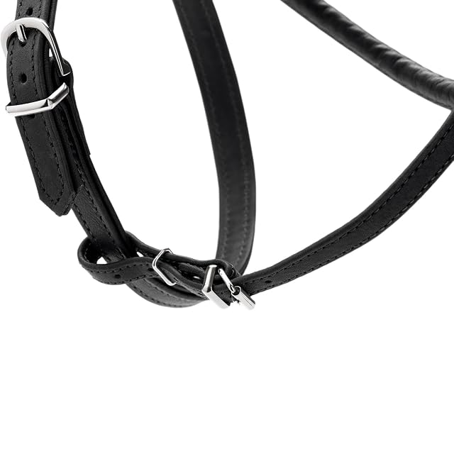 Foto 4 de 8 de Hunter Arnés para Perro Redondo y Suave Canadian UP, Color: Negro, Piel Suave y Flexible, Costuras Redondas