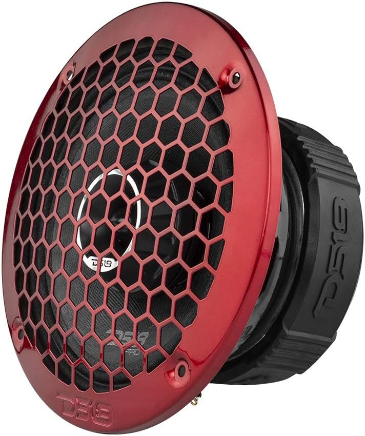 Pair DS18 PRO-ZT6 6.5