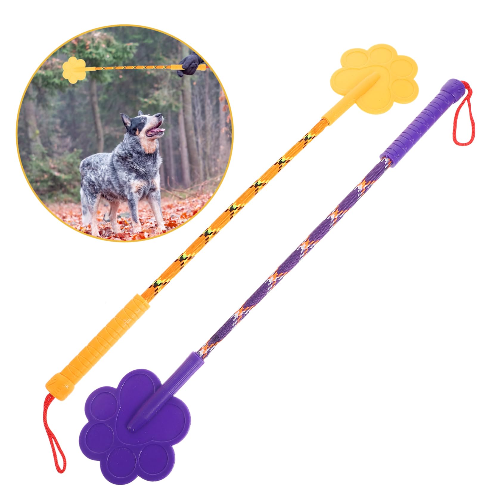 Cat Training Clicker Balacoo Pcs Cat Fitness Stick, Target