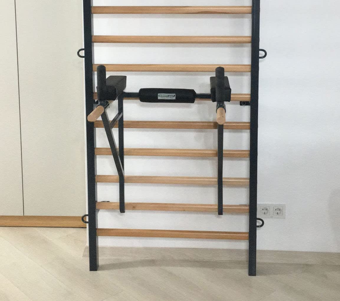 ARTIMEX Klimmzug Dip Ständer für Sprossenwand - Wird in Heimen, Fitnessstudios oder Fitnesscentern für Training und Fitness verwendet, Artikelnr. 270