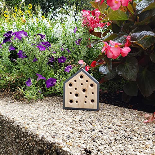 Kikkerland Little Bee Home (CD527)