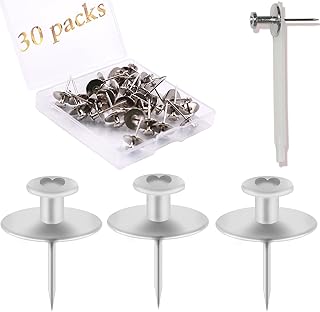 30 PCS Picture Hanger Nails, Double Headed Push Pins Hooks Thumbtacks for Wall Hangings Picture, Decorative Small Hook Pins for Drywall Cork Board Home Office Photo Decorations (Silver)