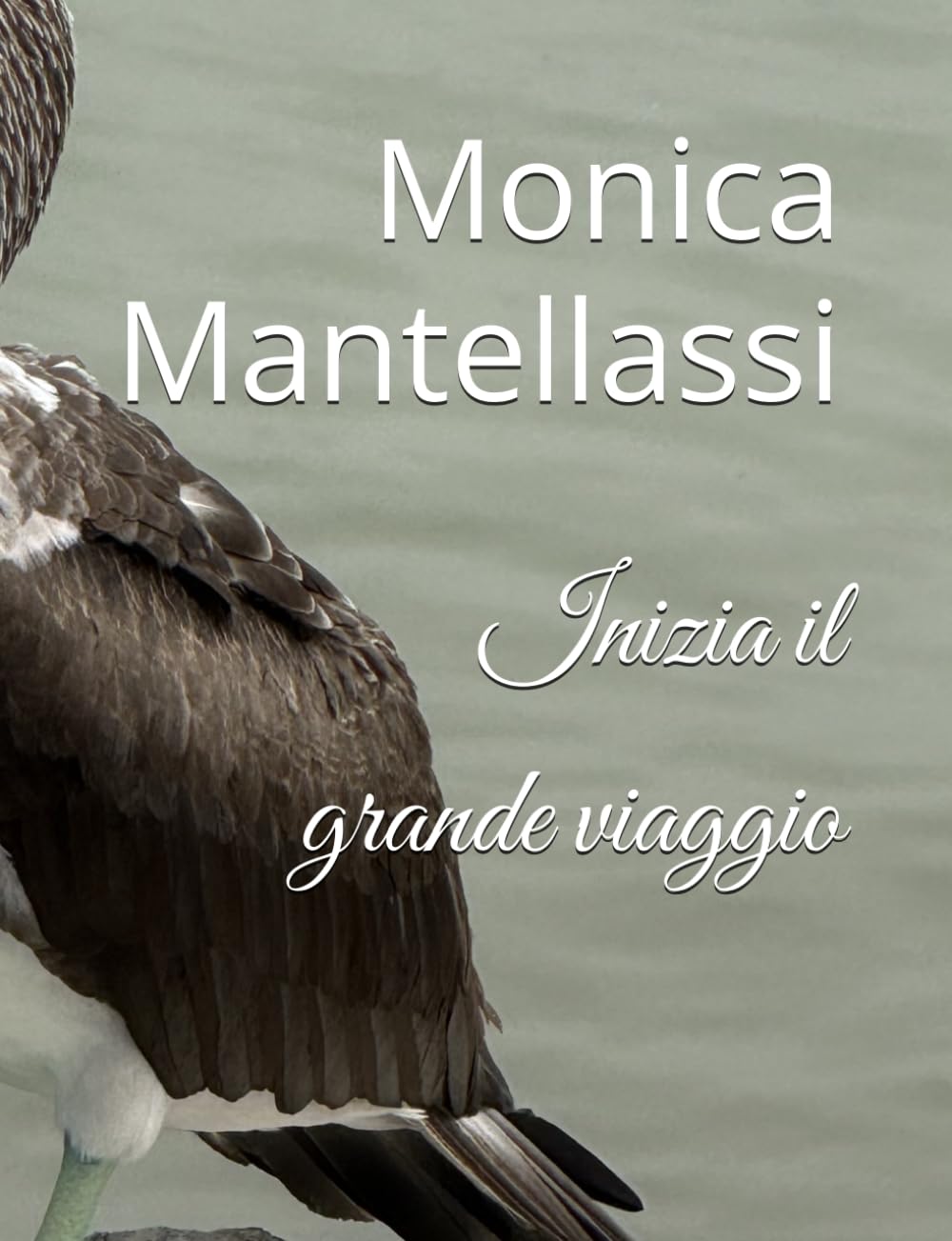 Inizia il grande viaggio