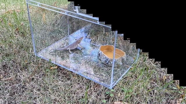 Amazon | Reptile Growth 爬虫類 ケージ 透明 爬虫類ケージ 飼育