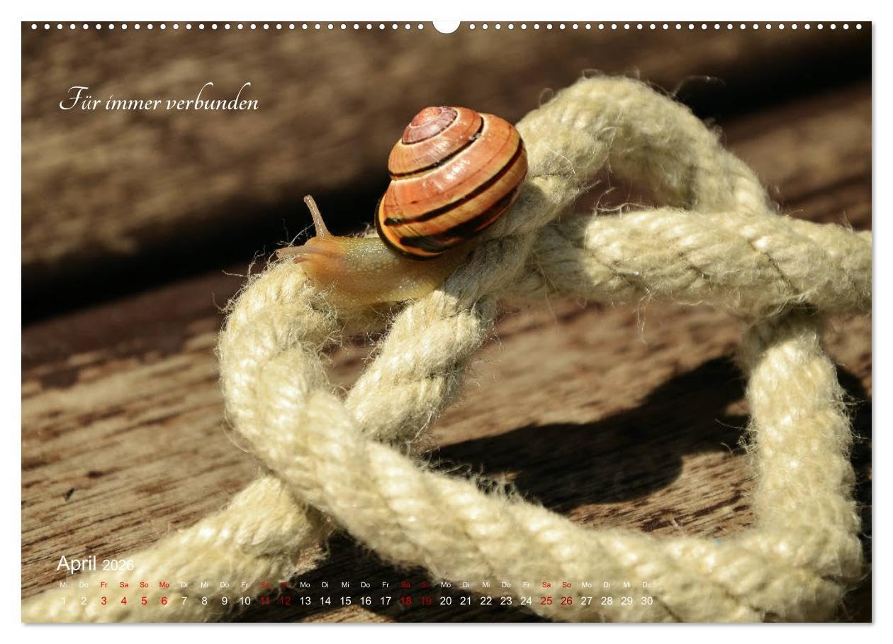 Emotionale Herzensdinge (hochwertiger Premium Wandkalender 2026 DIN A2 quer), Kunstdruck in Hochglanz: Bilder von Herzen mit romantischen Sprüchen über Liebesglück und Liebesleid (CALVENDO Kunst)