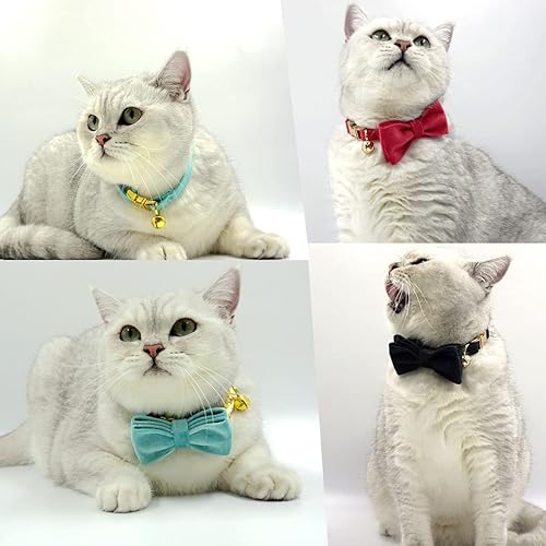 Miniatura 8 de Collar de gato personalizado con nombre grabado y número de teléfono, collares de gatito personalizables para niños y niñas (terciopelo)