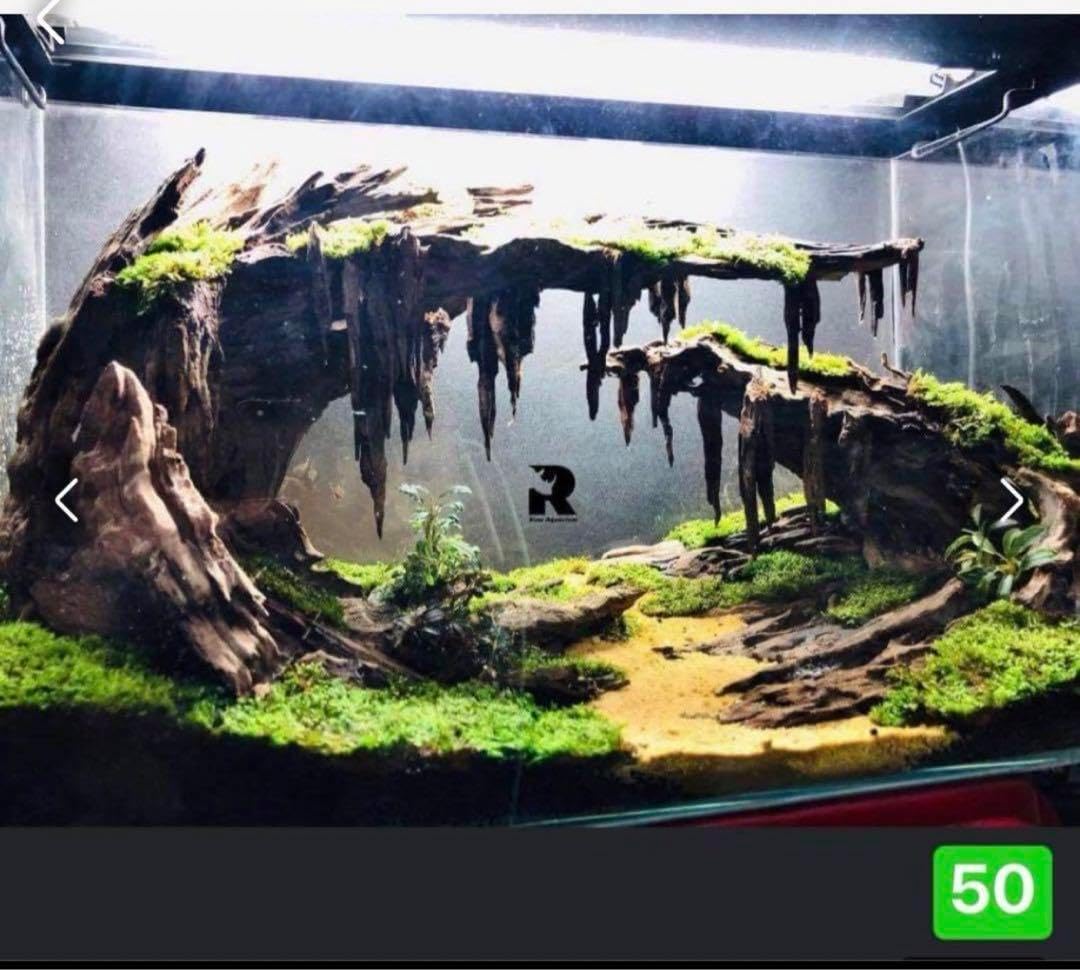 希少】アクアリウム・ガーデニング向け 特大塊根ブランチウッド流木