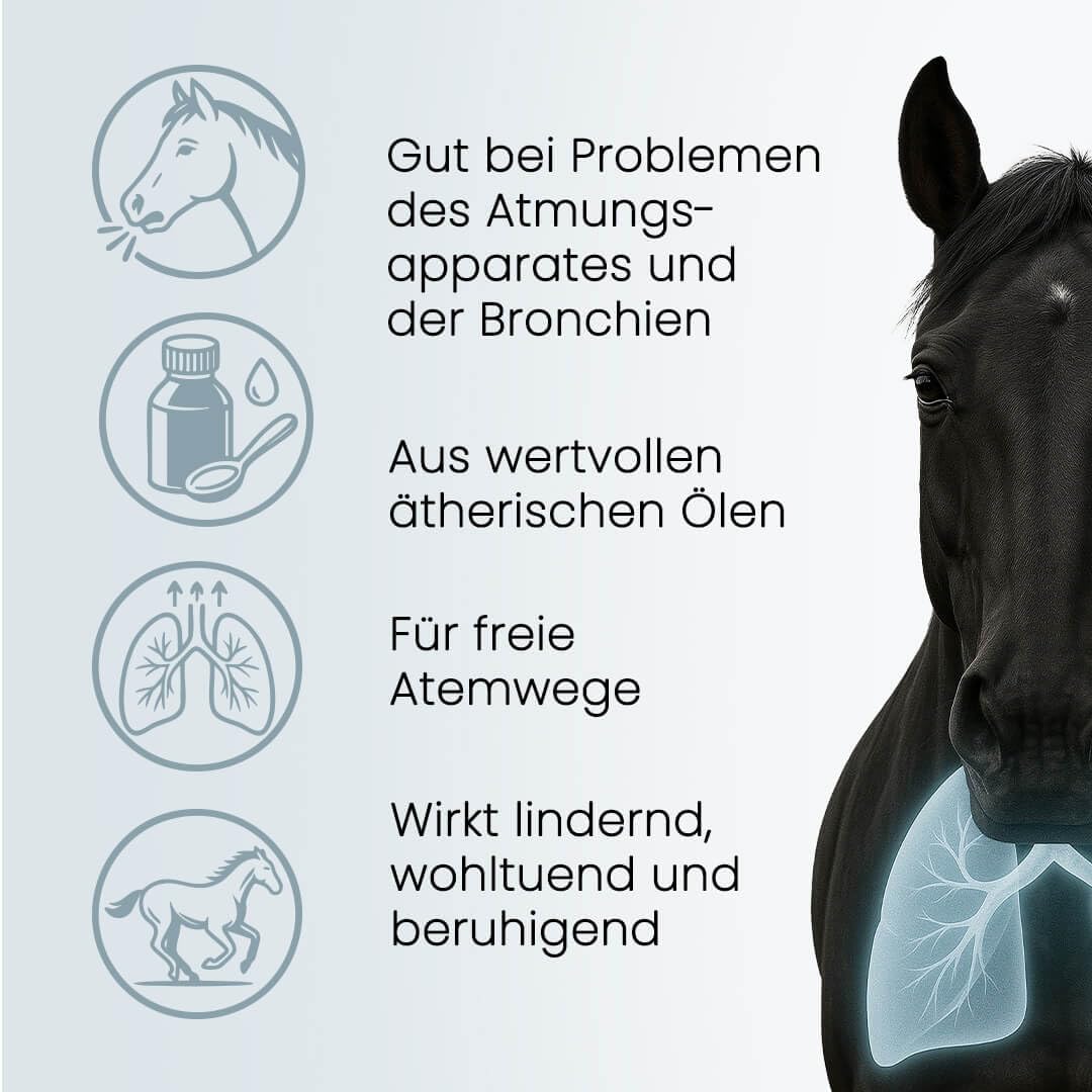 Broncho-Herbal® für Pferde 1000 ml | Ergänzungsfuttermittel mit ätherischen Ölen & Vitamin E | Kann Bronchien & Atemwege unterstützen | Natürlich & bewährt seit über 20 Jahren