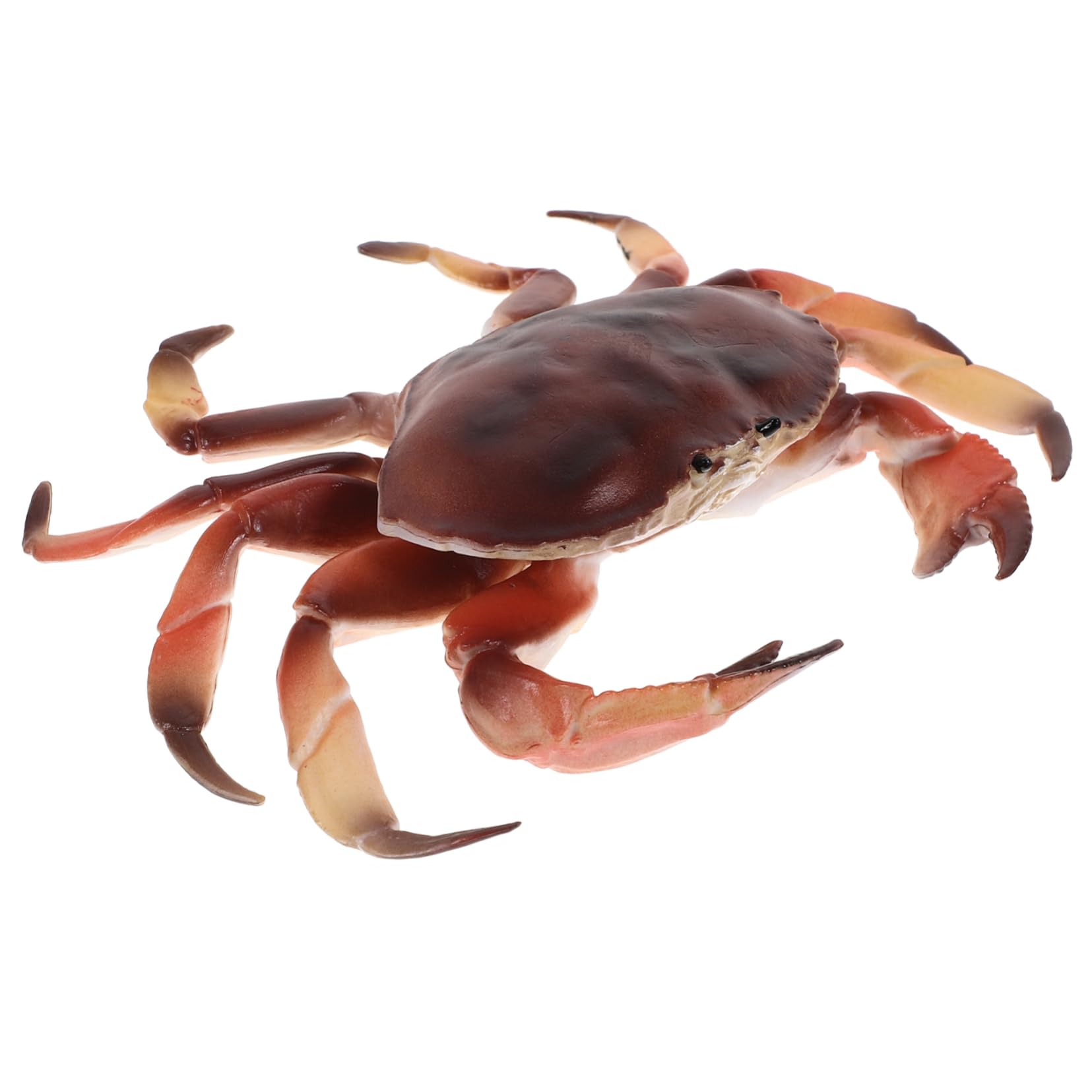 CLISPEED Simulation Realistic Crab Model Lifelike Plastic Crab Ornament for Bedroom Garden Decor Enhances Imagination Cognition Figure