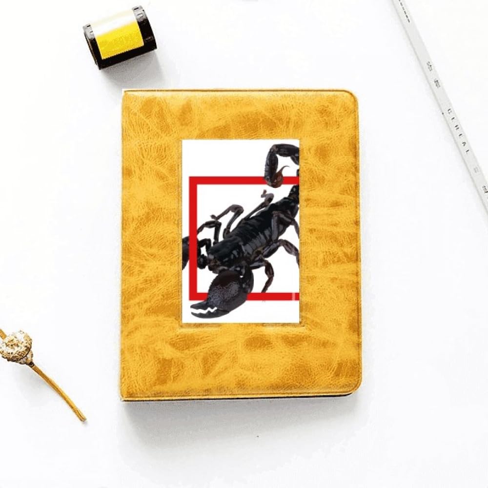 no/no Scorpion Natural Insect Shock Photo Album Family Wedding Picture 4x6
