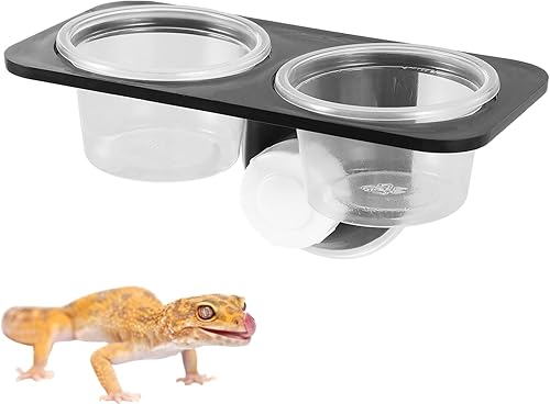 Vista 19 de POPETPOP 2pcs Pet Bowls para reptiles lagarto Gecko alimentador reptil comida tazón fácil limpieza