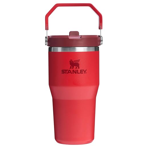 STANLEY IceFlow 2.0 Flip Straw Tumbler with Handle 20 oz | Twist On Lid and Flip Up Straw | Leakproof Water Bottle | Insulated Stainless Steel | BPA-Free | Chili Red