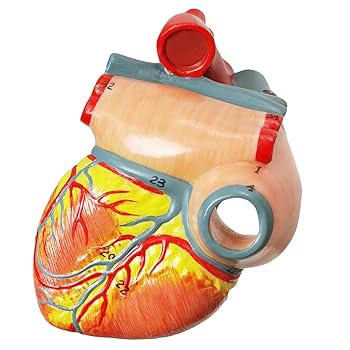 human made Heart ラグマット　large HUMAN MADE HEART RUG MEDIUM – HUMAN MADE Inc.